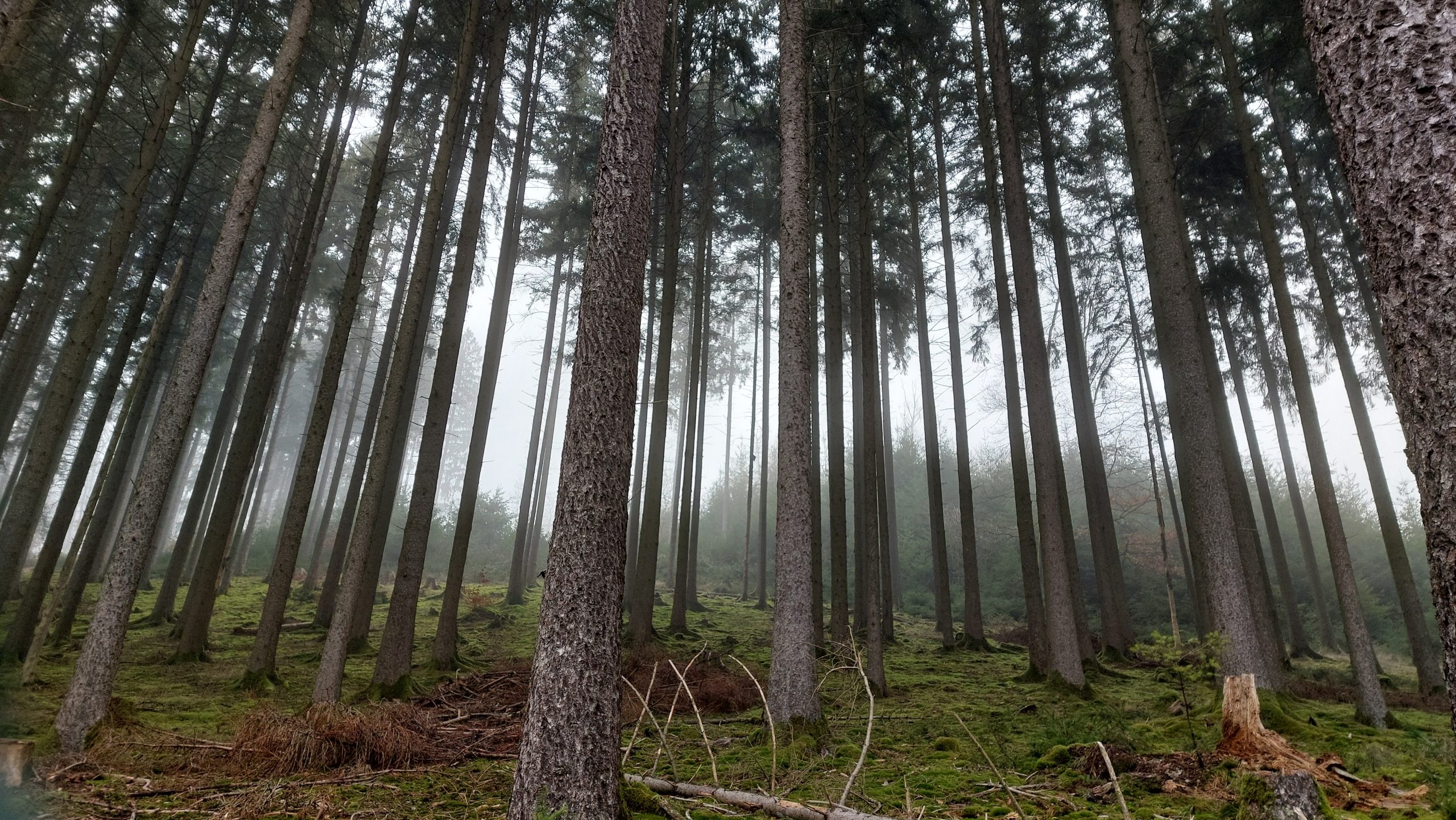 Alles eine Frage der HALTung